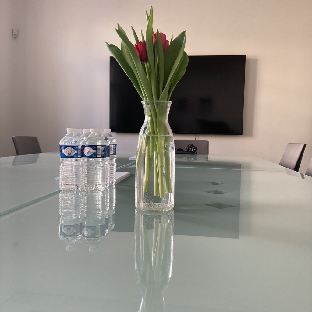 Za Business Institut stoja prevažne ženy